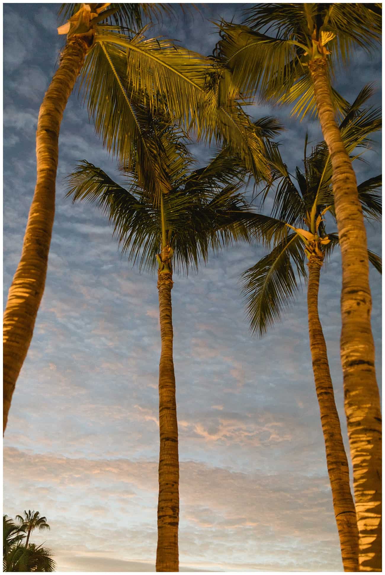 One&Only Palmilla Wedding cabo-wedding-photographer-sara-richardson-photography_0569